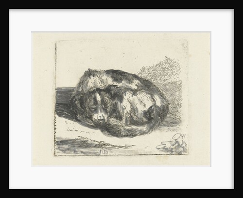 Sleeping dog by Jan Dasveldt