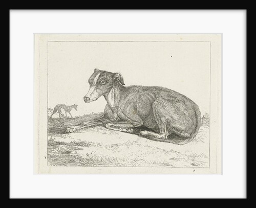 Greyhounds by Jan Dasveldt