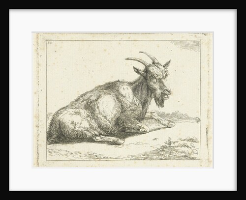 Goat by Jan Dasveldt