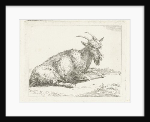 Goat by Jan Dasveldt