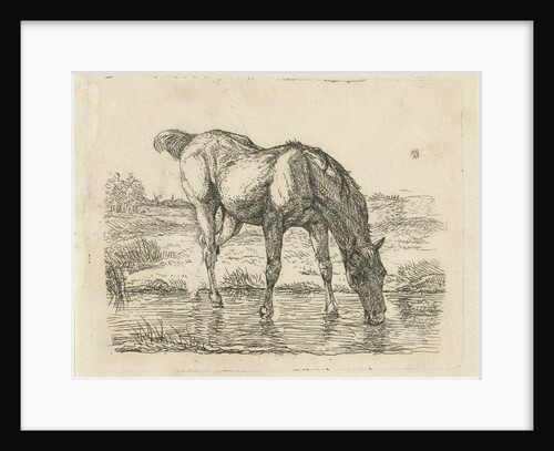 Drinking horse by Jan Dasveldt