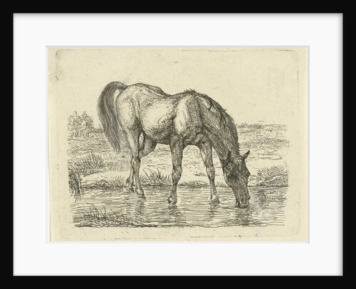 Drinking horse by Jan Dasveldt