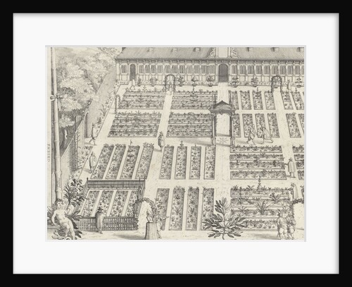 Hortus Botanicus of Leiden University by Claes Jansz. Visscher II