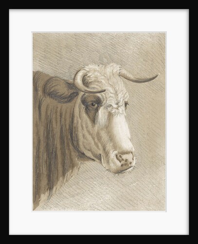 Cows head by Johann Heinrich Roos