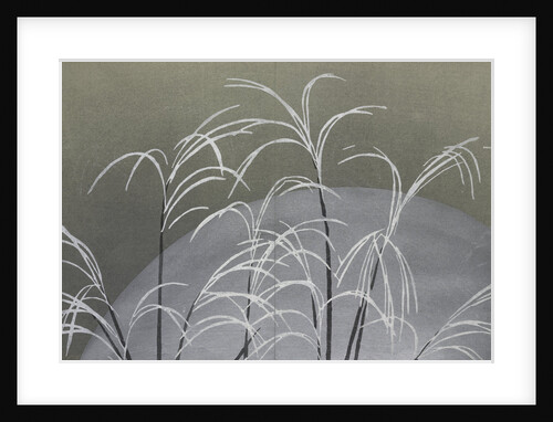 Momoyogusa Flowers of a Hundred Generations by Sekka Kamisaka