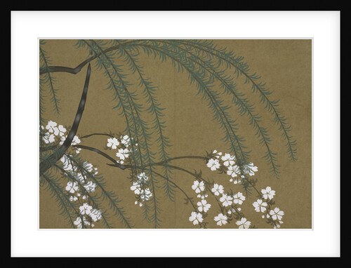 Momoyogusa Flowers of a Hundred Generations by Sekka Kamisaka