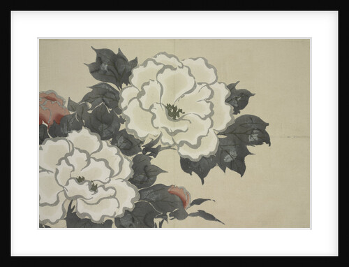 Momoyogusa Flowers of a Hundred Generations by Sekka Kamisaka