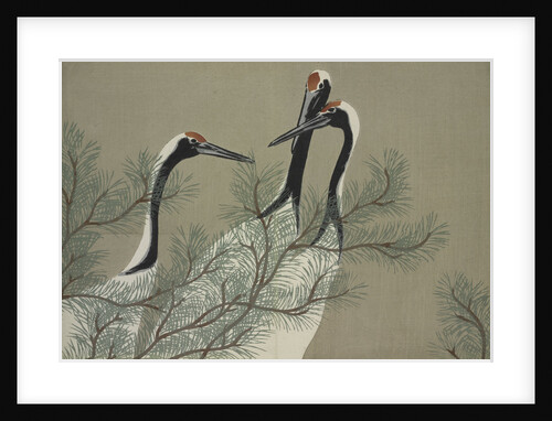 Momoyogusa Flowers of a Hundred Generations by Sekka Kamisaka