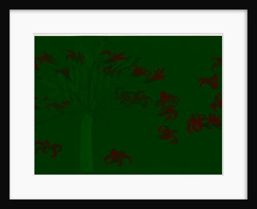 Amaryllis Josephine, Brunsrigia Josephinae; Brunsvigia Josephine; Amaryllis de Josephine; Josephine Lily by Pierre Joseph Redouté