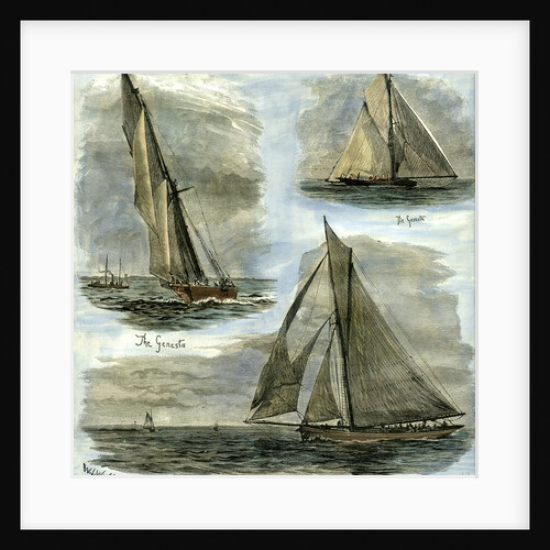 New York U.S.A. 1885 Yachts Competing at New York for the International Challenge Cup by Anonymous
