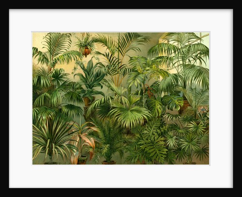Plants by Anonymous