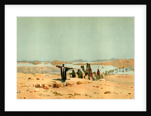 Sahara 19th Century Desert Camels by Anonymous