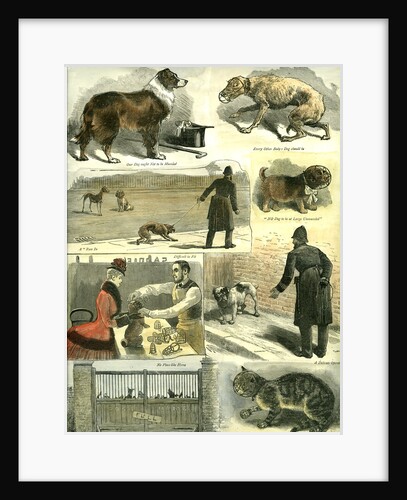 Dogs UK Police Regulations 1885 by Anonymous