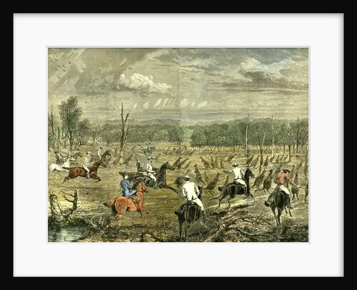 Australia Kangaroo Hunt 1880 by Anonymous