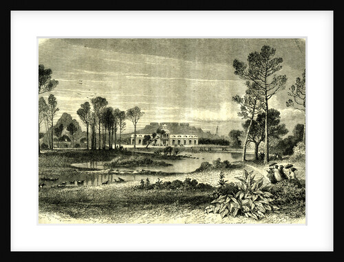 Bois De Boulogne Paris 19th Century by Anonymous