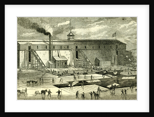 Ice Industry U.S.A. 1881 Winter View of Elevating Ice Into Buildings by Anonymous