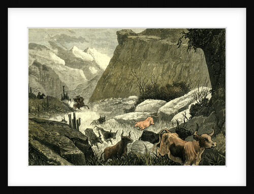Chile Rodeo 1880 Driving Down the Cattle from the Mountains to the Corrals by Anonymous