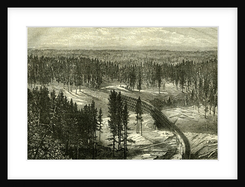 Long Ravine Bridge U.S.A. 1868 the Central Pacific Railway North America United States, United States of America America by Anonymous