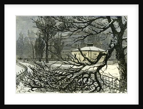 Kensington Gardens London 1887 Damage to Trees Near Queen's Gate by Anonymous