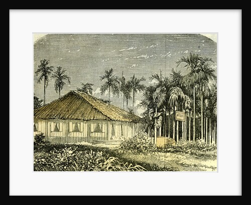 Saigon Rue De Gouvernement Vietnam 19th Century by Anonymous