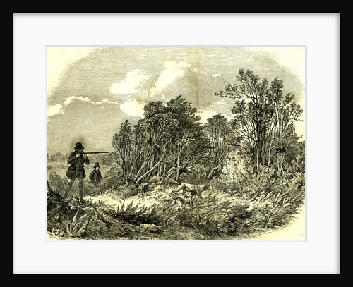 Pheasant Shooting UK 1850 by Anonymous