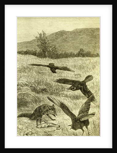 Hunt Fox Austria 1891 by Anonymous