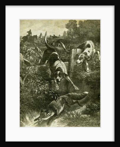 Hunt Austria Fox 1891 by Anonymous