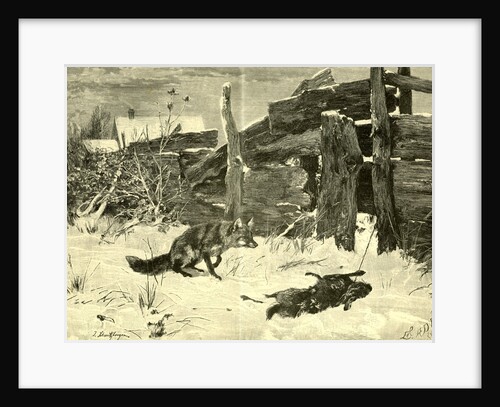 Fox Hunt Austria 1891 by Anonymous