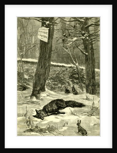 Hunting Fox Austria 1891 by Anonymous
