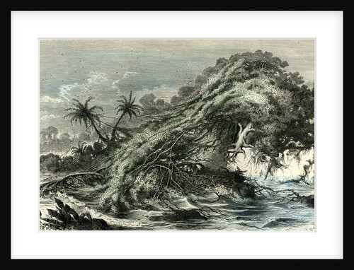 Ucayali Peru 1869 by Anonymous