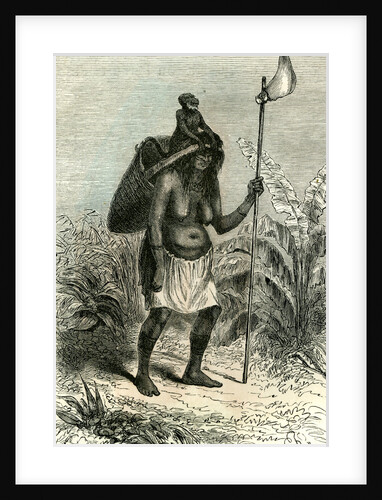 Plantation Peru 1869 by Anonymous