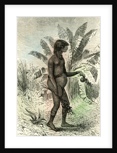 Conibo Girl Peru 1869 by Anonymous