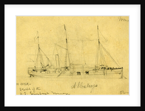 Albatross by Alfred R Waud