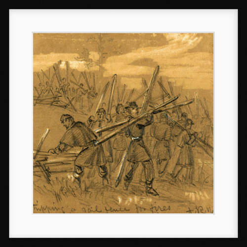 Stripping a rail fence for fires by Alfred R Waud