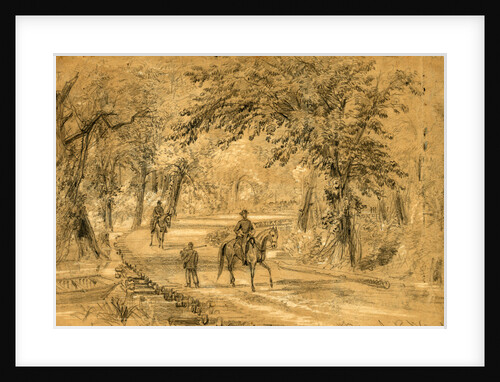 Bridge through the Chickahominy Swamp by Alfred R Waud
