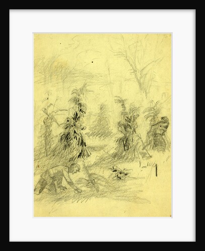Sniper shooting soldier from behind a corn stack by Alfred R Waud