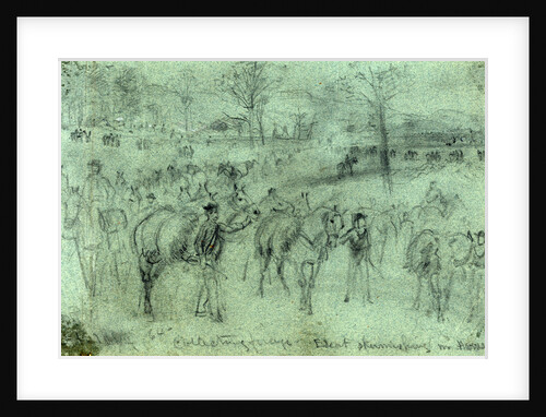 Collecting forage. Escort skirmishing n. Harrison, 1864 October by Alfred R Waud