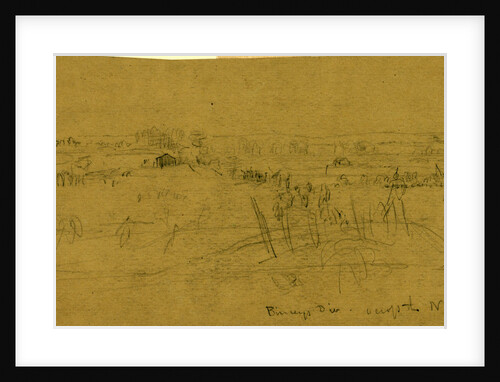 Birney's Div. across the N. Anna by Alfred R Waud