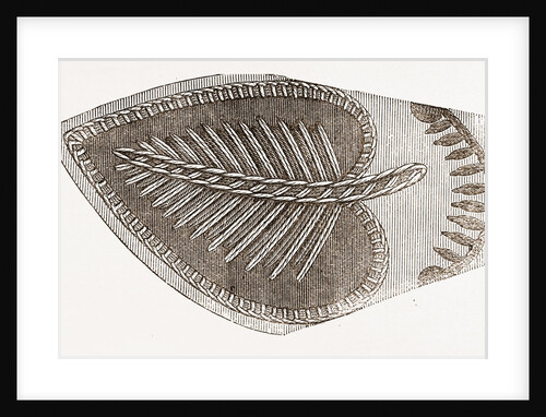 Design For Lamp Mats by Anonymous