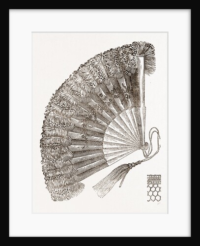 Dress Fan by Anonymous