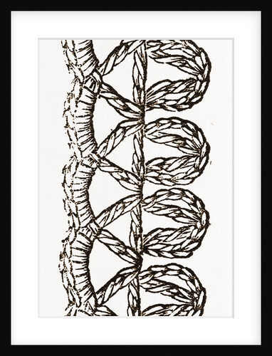 Lace Edging For Underlinen by Anonymous