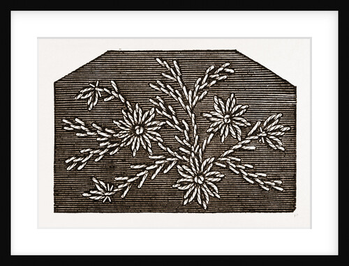 Needlework by Anonymous
