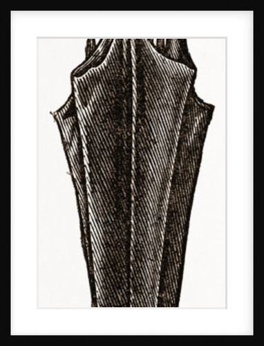 Sunshade, Umbrella by Anonymous