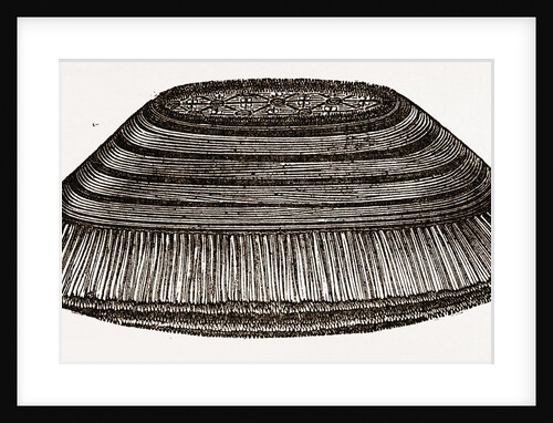 Furniture Brush by Anonymous