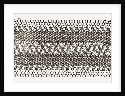 Design For Darning On Net by Anonymous