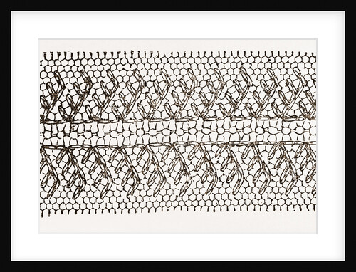 Design For Darning On Net by Anonymous