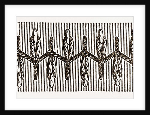 Needlework by Anonymous