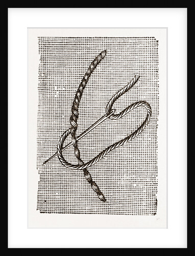Needlework by Anonymous