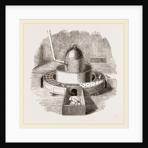 Reaumur's Stove and Hatching Floor by Anonymous