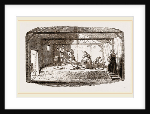 Hatching Eggs in Dung by Anonymous